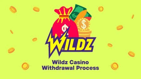 Wildzy Casino: En Rejäl Utmaning för Sveriges Casinospelare - overview